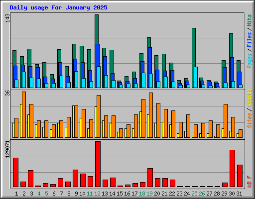 Daily usage for January 2025