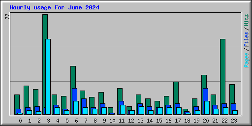 Hourly usage for June 2024