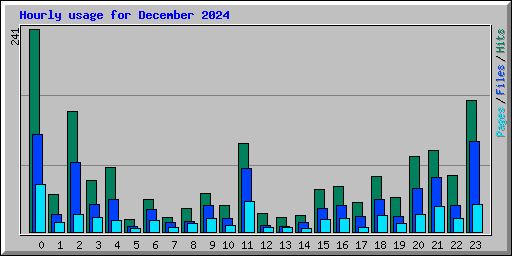 Hourly usage for December 2024