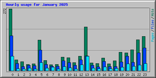 Hourly usage for January 2025