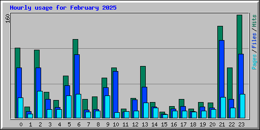 Hourly usage for February 2025