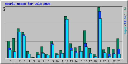 Hourly usage for July 2025