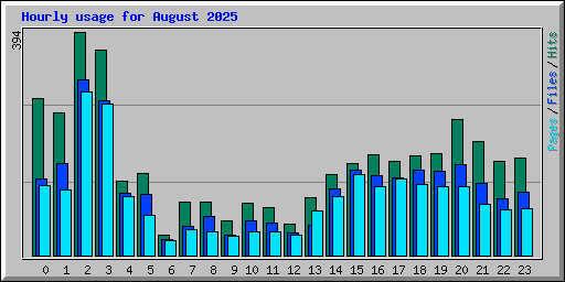 Hourly usage for August 2025