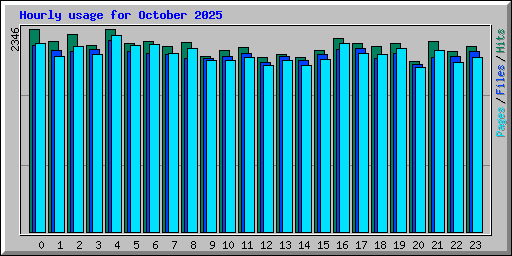 Hourly usage for October 2025