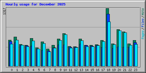 Hourly usage for December 2025